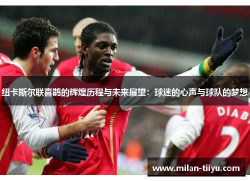 纽卡斯尔联喜鹊的辉煌历程与未来展望：球迷的心声与球队的梦想