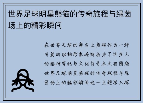 世界足球明星熊猫的传奇旅程与绿茵场上的精彩瞬间